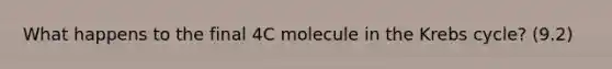 What happens to the final 4C molecule in the Krebs cycle? (9.2)