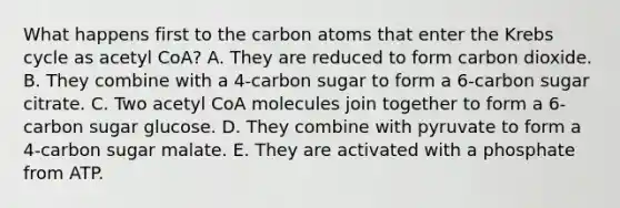 What happens first to the carbon atoms that enter the Krebs cycle as acetyl CoA? A. They are reduced to form carbon dioxide. B. They combine with a 4-carbon sugar to form a 6-carbon sugar citrate. C. Two acetyl CoA molecules join together to form a 6-carbon sugar glucose. D. They combine with pyruvate to form a 4-carbon sugar malate. E. They are activated with a phosphate from ATP.