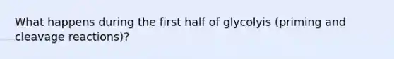 What happens during the first half of glycolyis (priming and cleavage reactions)?