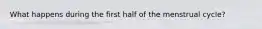 What happens during the first half of the menstrual cycle?