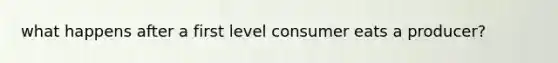 what happens after a first level consumer eats a producer?