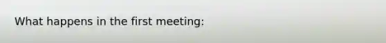 What happens in the first meeting: