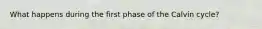 What happens during the first phase of the Calvin cycle?