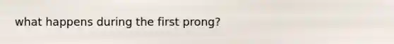 what happens during the first prong?