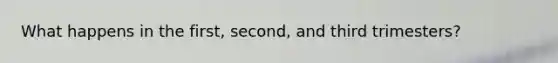 What happens in the first, second, and third trimesters?