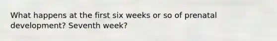 What happens at the first six weeks or so of prenatal development? Seventh week?