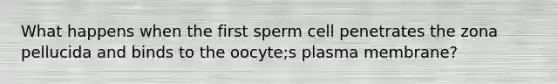 What happens when the first sperm cell penetrates the zona pellucida and binds to the oocyte;s plasma membrane?