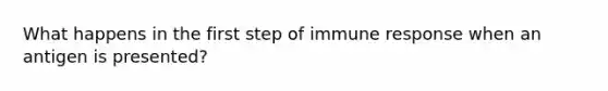 What happens in the first step of immune response when an antigen is presented?