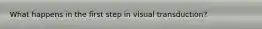 What happens in the first step in visual transduction?