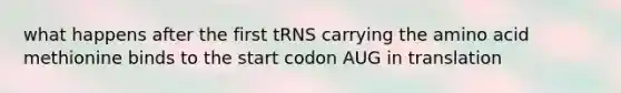 what happens after the first tRNS carrying the amino acid methionine binds to the start codon AUG in translation