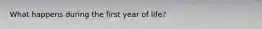 What happens during the first year of life?