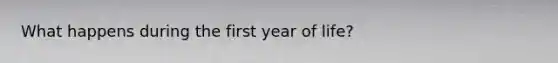 What happens during the first year of life?