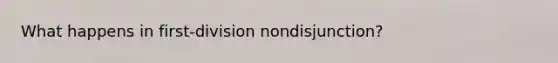 What happens in first-division nondisjunction?