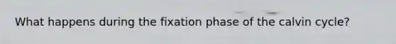 What happens during the fixation phase of the calvin cycle?