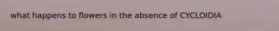 what happens to flowers in the absence of CYCLOIDIA