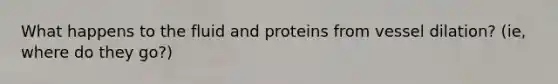 What happens to the fluid and proteins from vessel dilation? (ie, where do they go?)