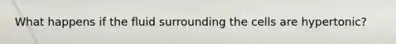What happens if the fluid surrounding the cells are hypertonic?
