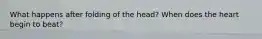 What happens after folding of the head? When does the heart begin to beat?