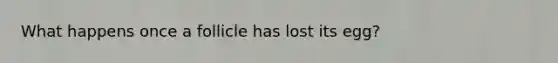 What happens once a follicle has lost its egg?