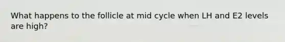 What happens to the follicle at mid cycle when LH and E2 levels are high?