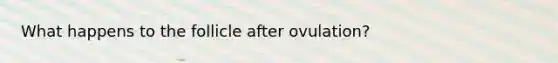 What happens to the follicle after ovulation?
