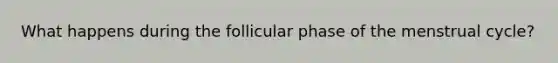 What happens during the follicular phase of the menstrual cycle?