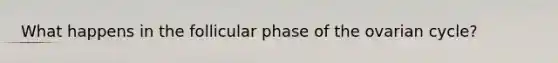 What happens in the follicular phase of the ovarian cycle?