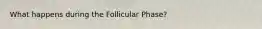What happens during the Follicular Phase?