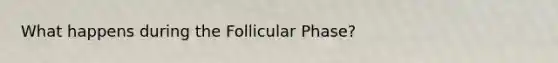 What happens during the Follicular Phase?