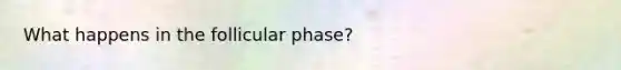 What happens in the follicular phase?