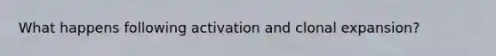 What happens following activation and clonal expansion?