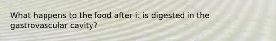 What happens to the food after it is digested in the gastrovascular cavity?