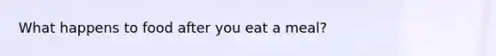 What happens to food after you eat a meal?