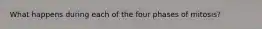 What happens during each of the four phases of mitosis?