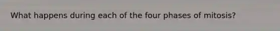 What happens during each of the four phases of mitosis?