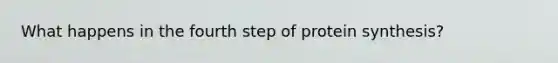 What happens in the fourth step of <a href='https://www.questionai.com/knowledge/kVyphSdCnD-protein-synthesis' class='anchor-knowledge'>protein synthesis</a>?