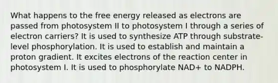 What happens to the free energy released as electrons are passed from photosystem II to photosystem I through a series of electron carriers? It is used to synthesize ATP through substrate-level phosphorylation. It is used to establish and maintain a proton gradient. It excites electrons of the reaction center in photosystem I. It is used to phosphorylate NAD+ to NADPH.