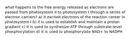 what happens to the free energy released as electrons are passed from photosystem II to photosystem I through a series of electron carriers? a) it excited electrons of the reaction center in photosystem I b) it is used to establish and maintain a proton gradient c) it is used to synthesize ATP through substrate-level phosphorylation d) it is used to phosphorylate NAD+ to NADPH