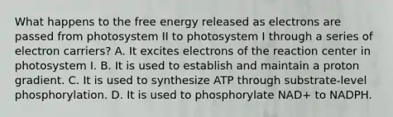 What happens to the free energy released as electrons are passed from photosystem II to photosystem I through a series of electron carriers? A. It excites electrons of the reaction center in photosystem I. B. It is used to establish and maintain a proton gradient. C. It is used to synthesize ATP through substrate-level phosphorylation. D. It is used to phosphorylate NAD+ to NADPH.