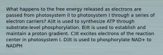 What happens to the free energy released as electrons are passed from photosystem II to photosystem I through a series of electron carriers? A)It is used to synthesize ATP through substrate-level phosphorylation. B)It is used to establish and maintain a proton gradient. C)It excites electrons of the reaction center in photosystem I. D)It is used to phosphorylate NAD+ to NADPH