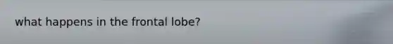 what happens in the frontal lobe?