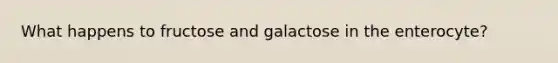 What happens to fructose and galactose in the enterocyte?