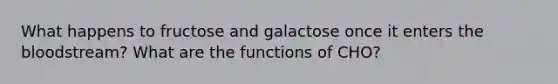 What happens to fructose and galactose once it enters the bloodstream? What are the functions of CHO?