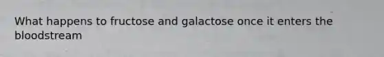 What happens to fructose and galactose once it enters the bloodstream