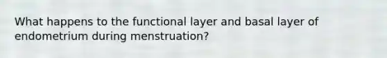 What happens to the functional layer and basal layer of endometrium during menstruation?