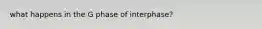 what happens in the G phase of interphase?