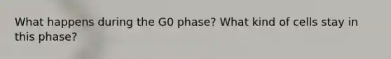 What happens during the G0 phase? What kind of cells stay in this phase?