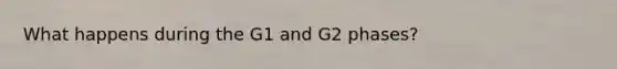 What happens during the G1 and G2 phases?