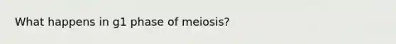 What happens in g1 phase of meiosis?