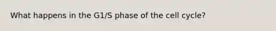 What happens in the G1/S phase of the <a href='https://www.questionai.com/knowledge/keQNMM7c75-cell-cycle' class='anchor-knowledge'>cell cycle</a>?